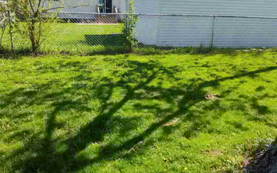 Photo of Kathleen M.'s yard after getting landscaping in Maple Heights, OH