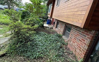 Photo of Andrew R.'s yard after getting landscaping in Elkridge, MD