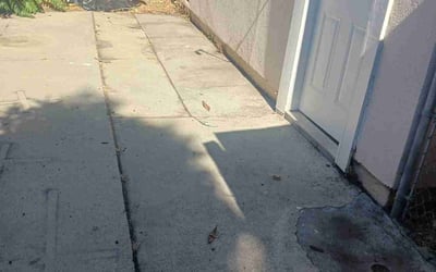 Photo of Robert H.'s yard after getting landscaping in Santa Monica, CA