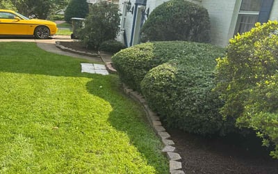 Photo of Thomas D.'s yard after getting landscaping in Annandale, VA