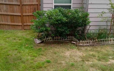 Photo of Jessie Z.'s yard after getting landscaping in Lawrenceville, GA