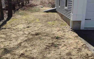 Photo of Kelvin D.'s yard after getting landscaping in Hingham, MA