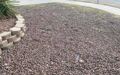 Photo of Steven F.'s yard after getting landscaping in Anthony, TX
