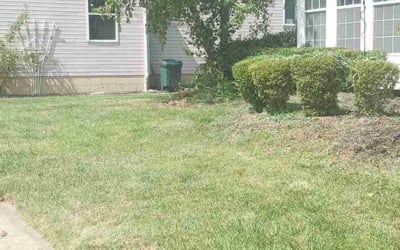 Photo of James B.'s yard after getting landscaping in Amanda, OH