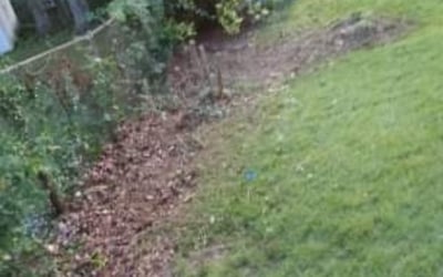 Photo of Cathy B.'s yard after getting landscaping in Occoquan, VA