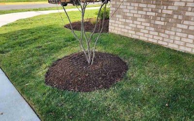 Photo of Lori B.'s yard after getting landscaping in Marshall, VA