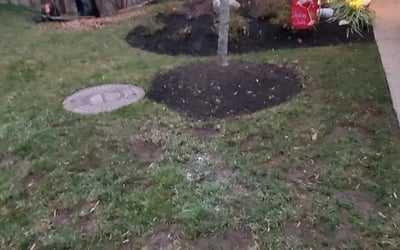 Photo of Deborah W.'s yard after getting landscaping in Great Falls, VA