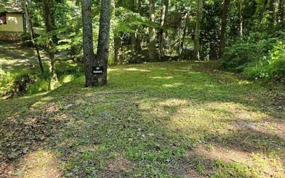 Photo of Tony T.'s yard after getting tree care in Bremen, GA