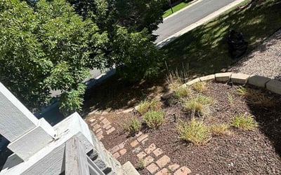 Photo of Colleen R.'s yard after getting landscaping in Hartsel, CO
