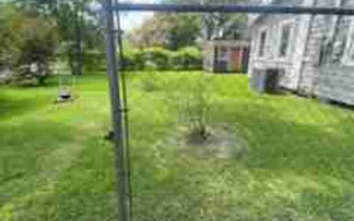 Photo of Michael H.'s yard after getting landscaping in Lafayette, LA