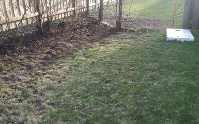 Photo of Sam W.'s yard after getting landscaping in Forest Lake, MN