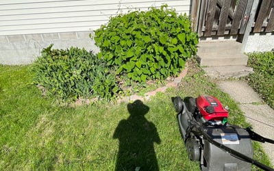 Photo of Marilyn M.'s yard after getting landscaping in Chanhassen, MN