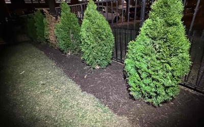 Photo of Christopher K.'s yard after getting landscaping in Nanjemoy, MD