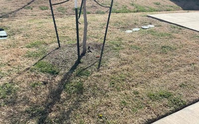 Photo of Marcy M.'s yard after getting landscaping in Forreston, TX