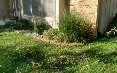 Photo of David C.'s yard after getting landscaping in Jackson, MO