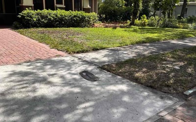 Photo of Russ R.'s yard after getting landscaping in Orlando, FL