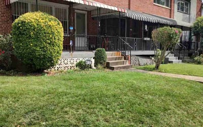 Photo of Moses M.'s yard after getting tree care in Hyattsville, MD