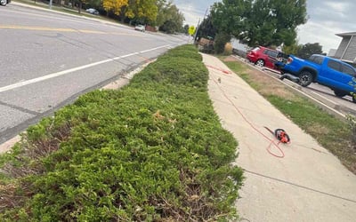 Photo of Shannon J.'s yard after getting landscaping in Grant, CO