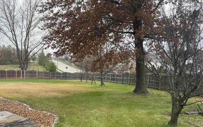 Photo of Sharon D.'s yard after getting landscaping in Troy, MO