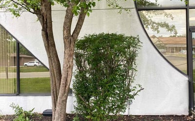 Photo of Abdul I.'s yard after getting landscaping in Glenford, OH