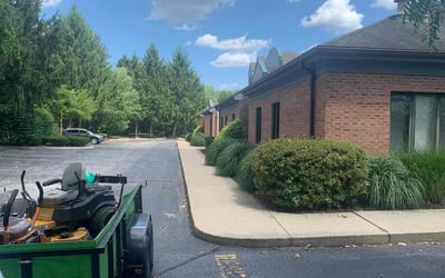 Photo of Michelle C.'s yard after getting landscaping in Williamsport, OH