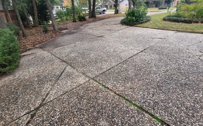 Photo of Heidi S.'s yard after getting landscaping in Needville, TX