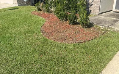 Photo of Richard B.'s yard after getting landscaping in New Roads, LA