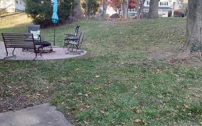Photo of Ellen M.'s yard after getting landscaping in Salem, NJ