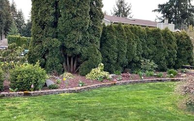 Photo of Mary J.'s yard after getting landscaping in Roy, WA