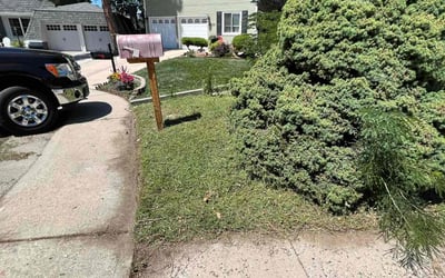 Photo of John N.'s yard after getting landscaping in Agate, CO