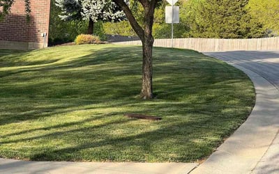 Photo of Linda T.'s yard after getting landscaping in Weston, MO
