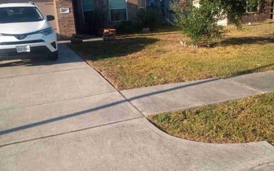 Photo of Mayra A.'s yard after getting tree care in Richmond, TX