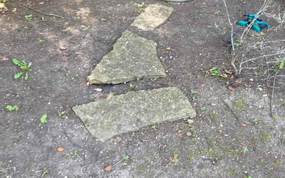 Photo of Liz S.'s yard after getting landscaping in Germantown, OH