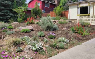 Photo of Ann C.'s yard after getting landscaping in Longmont, CO