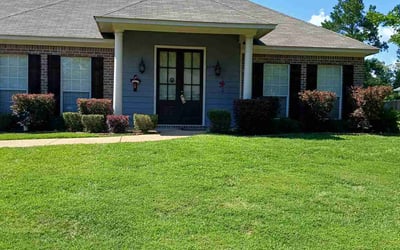 Photo of JoAnn C.'s yard after getting landscaping in Brandon, MS