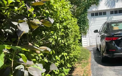 Photo of Jeff D.'s yard after getting landscaping in Pewaukee, WI