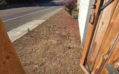 Photo of Rebecca R.'s yard after getting tree care in Molalla, OR