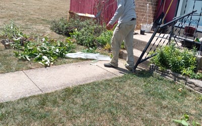 Photo of Nancy H.'s yard after getting landscaping in Monrovia, MD