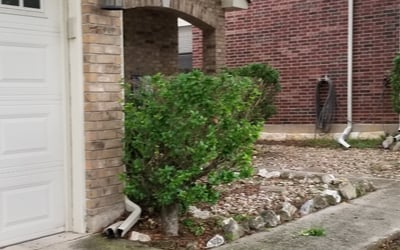 Photo of Diana H.'s yard after getting tree care in Cibolo, TX