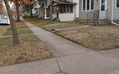 Photo of Donna C.'s yard after getting tree care in South Saint Paul, MN