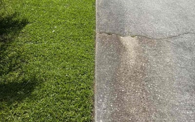 Photo of Shemele C.'s yard after getting landscaping in Myrtle Beach, SC