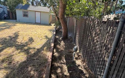 Photo of Samuel M.'s yard after getting tree care in Berkeley, CA
