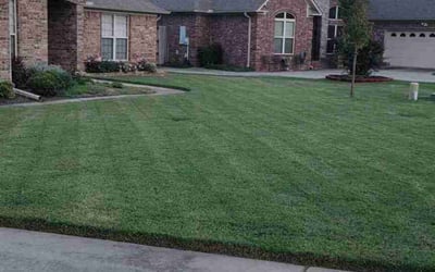Photo of Tom K.'s yard after getting lawn care in Conway, AR