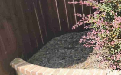 Photo of Timothy F.'s yard after getting landscaping in Midlothian, TX