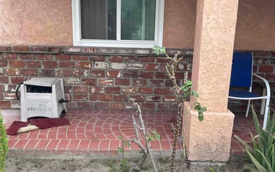 Photo of Monique A.'s yard after getting tree care in Marysville, CA