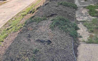 Photo of Carlos P.'s yard after getting landscaping in Cleveland, OH