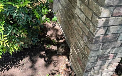 Photo of Nancy H.'s yard after getting landscaping in Grand Prairie, TX