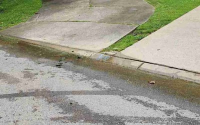 Photo of Joseph E.'s yard after getting landscaping in Thompsons Station, TN