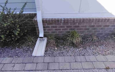 Photo of Sarah P.'s yard after getting landscaping in Virginia Beach, VA
