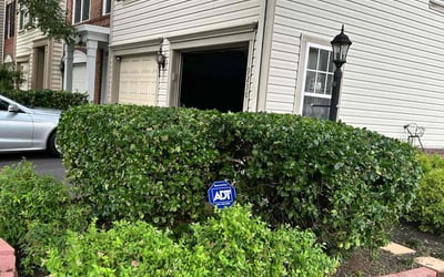 Photo of Dana S.'s yard after getting tree care in Charles Town, WV